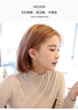 High Zircon 925 Silver Earrings For Women