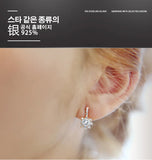High Zircon 925 Silver Earrings For Women