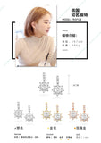 High Zircon 925 Silver Earrings For Women