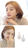 High Zircon 925 Silver Earrings For Women