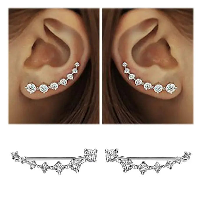 High Zircon Sterling Silver Earring for Women - Jewelry Gift