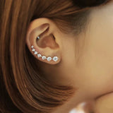 High Zircon Sterling Silver Earring for Women - Jewelry Gift