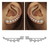 High Zircon Sterling Silver Earring for Women - Jewelry Gift