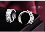 Double Row Zircon 925 Silver Stud Earrings Anti-Allergic Women