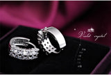 Double Row Zircon 925 Silver Stud Earrings Anti-Allergic Women