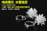 Ice Flower Zircon 925 Sterling Silver Stud Earrings