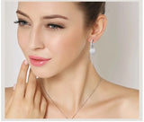 Ice Flower Zircon 925 Sterling Silver Stud Earrings