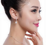 Zircon Arrival 925 Sterling Silver Stud Earrings for Women