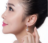 Zircon Arrival 925 Sterling Silver Stud Earrings for Women