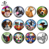 12pcs Cartoon Dog Glass Snap Buttons 18mm for Snap Jewelry - KZ1006
