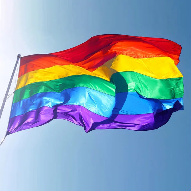 Rainbow Flag 3x5 FT Lesbian Gay Pride LGBT For Party