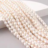 Real Freshwater Pearl Necklace 6mm Rice Pearl Jewelry 39mm Length