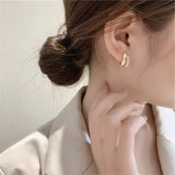 Korea Jewelry Zircon Shell Earrings Women Daily Accessories