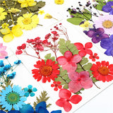 Dried Flowers DIY Epoxy Resin Necklace Jewelry Craft Accessories