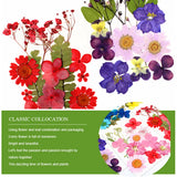 Dried Flowers DIY Epoxy Resin Necklace Jewelry Craft Accessories