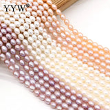 Natural Freshwater Pearl Beads Irregular Rice Shape for Women Necklace Bracelet