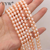 Natural Freshwater Pearl Beads Irregular Rice Shape for Women Necklace Bracelet