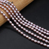Natural Freshwater Pearl Beads Irregular Rice Shape for Women Necklace Bracelet