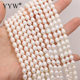 Natural Freshwater Pearl Beads Irregular Rice Shape for Women Necklace Bracelet