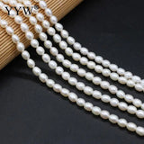 Natural Freshwater Pearl Beads Irregular Rice Shape for Women Necklace Bracelet