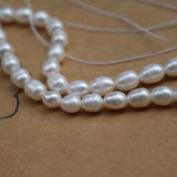 7-8mm Oval Freshwater Pearl Beads for Jewelry Making