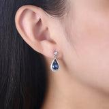 S925 Silver Water Drop Crystal Dangle Earrings Fine Jewelry