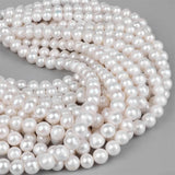 Freshwater Pearl Mother Of Pearl Beads for Jewelry Making