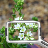 Rectangular Magnifying Glass 3X/10X for Repair