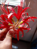 Red Flower Hairpin 3D Artificial Flower Mansa Zhuhua Hair Accessories
