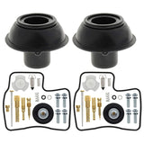 Carburetor Repair Kit for Steed Shadow VLX 400
