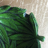 Murraya KoenigiiSpreng Weed Ashtray