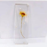 Resin Rectangle Spacer Pendant Earring 4pcs