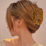 Retro Brown Acetic Acid Hairpins Hair Claw Hair Clip Gift for Women and Girl