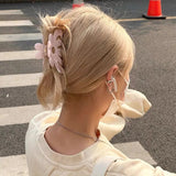 Retro Ins Creative Clip Flower Shark Acrylic Charm Hair Clip Hair Accessories