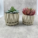 Geometric Flower Pot Cement Silicone Mold for Succulent Decoration