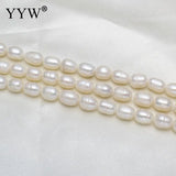 8-9mm Rice Freshwater Pearl Beads DIY Necklace Bracelet Jewelry Making