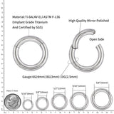 ASTM F136 Titanium Large Gauge Single Hinged Clicker Segment Hoop Ring