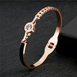 Roman Numerals Titanium Bracelet with Zircon OL Wave Inlay