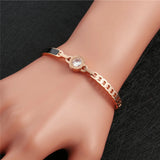 Roman Numerals Titanium Bracelet with Zircon OL Wave Inlay