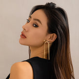 Romantic Zircon Snake Chain Tassel Earrings