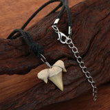Fossilized Shark Tooth Necklace Men Summer Surfer Jewelry