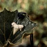 Fossilized Shark Tooth Necklace Men Summer Surfer Jewelry