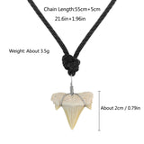 Fossilized Shark Tooth Necklace Men Summer Surfer Jewelry