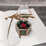 Vintage Glass Jewelry Box - Hexagon Geometric Display Organizer