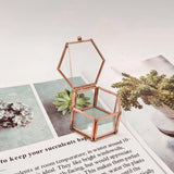 Vintage Glass Jewelry Box - Hexagon Geometric Display Organizer