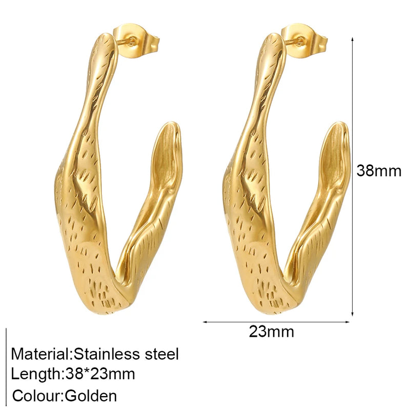 Irregular Hoop Earrings Pave Zircon Stainless Steel