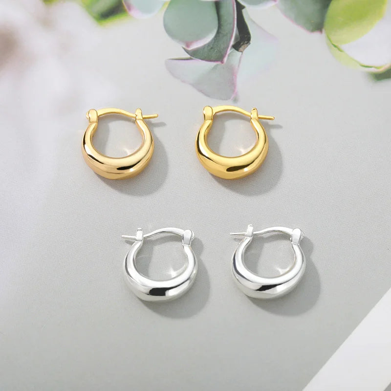Stainless Steel Hoop Earrings for Women Wedding Jewelry