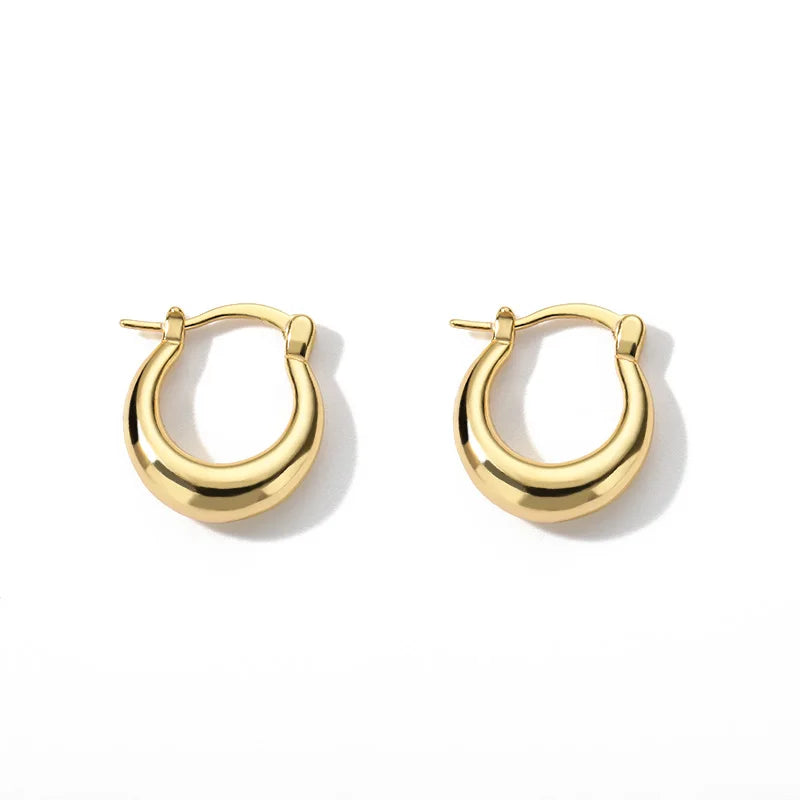 Stainless Steel Hoop Earrings for Women Wedding Jewelry