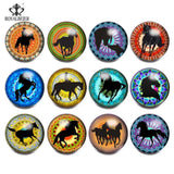 RoyalBeier 12PCS/lot Glass Snap Buttons For Snap DIY Bracelets Bangles