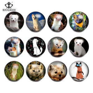 12pcs Weasel Theme Glass Charms Snap Button Jewelry For 20mm Snaps Bracelet
